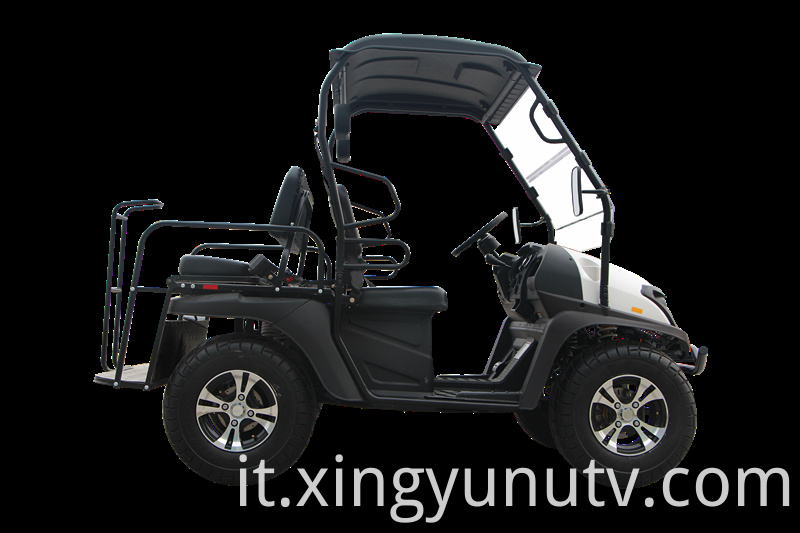 2021 Vendita calda di alta qualità 5kw Electric UTV EEC CEE Electric Golf Cart